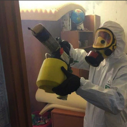 Уничтожение клопов в квартире. Обухово